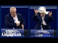 Confusion after mep releases peace dove from bag in european parliament