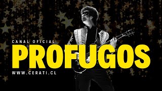 Amor sin rodeos - PROFUGOS / Tributo Oficial a Soda Stereo y Gustavo Cerati