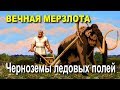 Вечная мерзлота.  Черноземы ледовых полей.