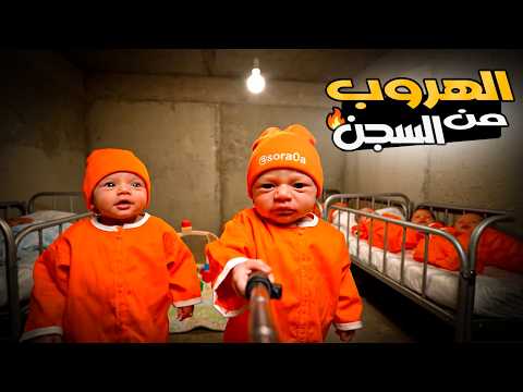 فلوق توأم الذكاء الاصطناعي انسجنا والسبب سيكل