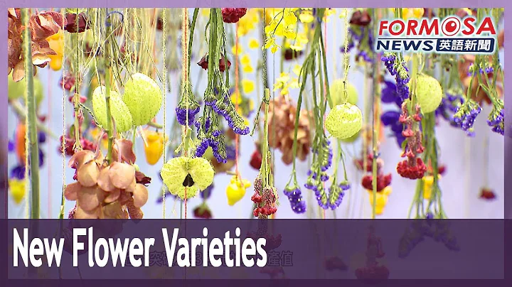Dazzling new flower varieties on show at Taiwan Flora Variety Promotion Show - DayDayNews