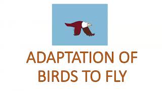 Adaptation of Birds to fly l Adaptation of animals for reproduction