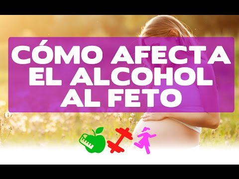 Vídeo: La Influencia Del Alcohol En El Desarrollo Del Embrión