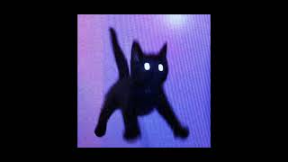 Onyx Palace  Super Slowed To Slowed