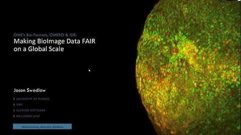 Making BioImage Data FAIR on a Global Scale: Jason Swedlow, 21/08/23