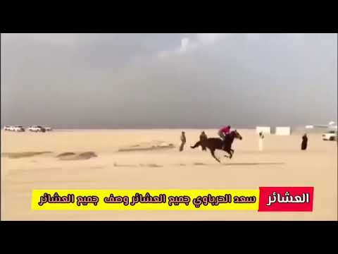 الفنان الشعبي سعد الحرباوي يغني عن العشائر
