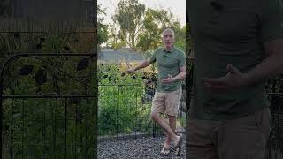 Useful decorative and functional fencing ideas