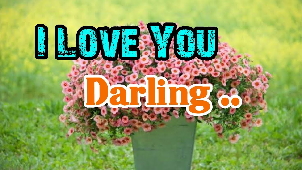I Love You My Darling ..💖⚘💖