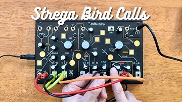 Bird Sounds with Strega