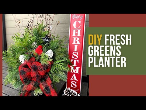 วีดีโอ: Wintergreen Houseplants - การปลูก Wintergreen Indoors สำหรับการตกแต่งในวันหยุด