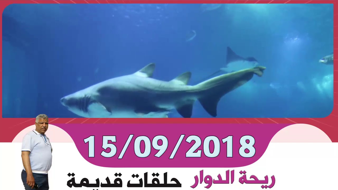ريحة الدوار حلقة قديمة - دوار عبدالله - موسم تبوريدة - 15-09-2018 - Rihat Douar