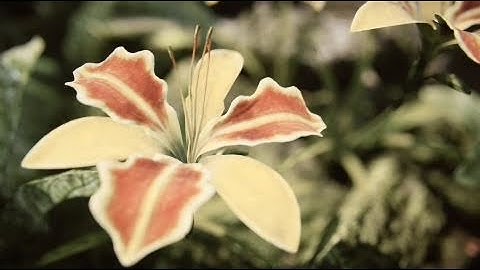 Unreal Engine 3 - Environments Features Overview | HD