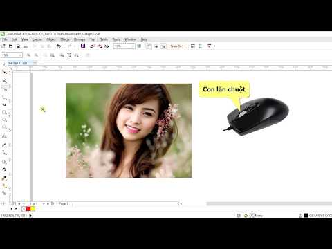Tự học Corel - 5/40 Phóng to nhỏ, di chuyển màn hình (Zoom, pan)