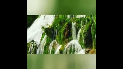 أروع التلاوات