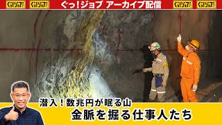 Infiltrating a Mountain of Trillions: The Professionals Mining