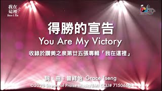 【 得勝的宣告 You Are My Victory 】官方歌詞版MV ( Lyrics MV) - 讚美之泉敬拜讚美 (25)