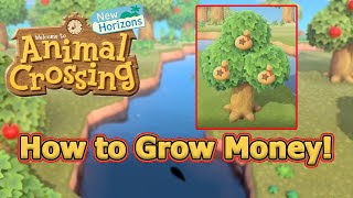 - dig up daily money spot in ground plant more the glowing hole wait
until tree grows to see how much you get back hope like video!!...