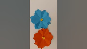 ONE Minute Craft/ Easy Paper Flowers | Flower Making | DIY/ DIY Flowers/#shorts