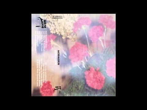 Acidalius — Acidalius - Acid Alias