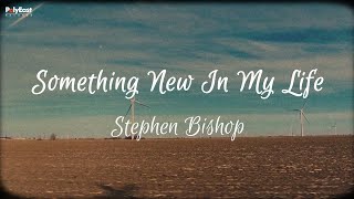 Stephen Bishop - Something New In My Life (Official Lyric Video) chords