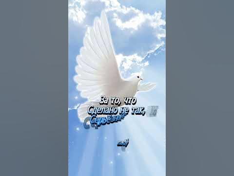 Прощёное воскресенье 🙏 - YouTube