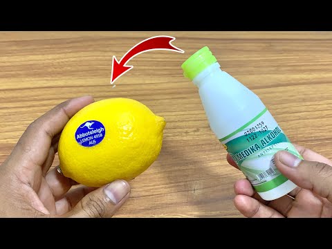 Video: Citronu ciprešu koku audzēšana - citronu ciprešu augu kopšana