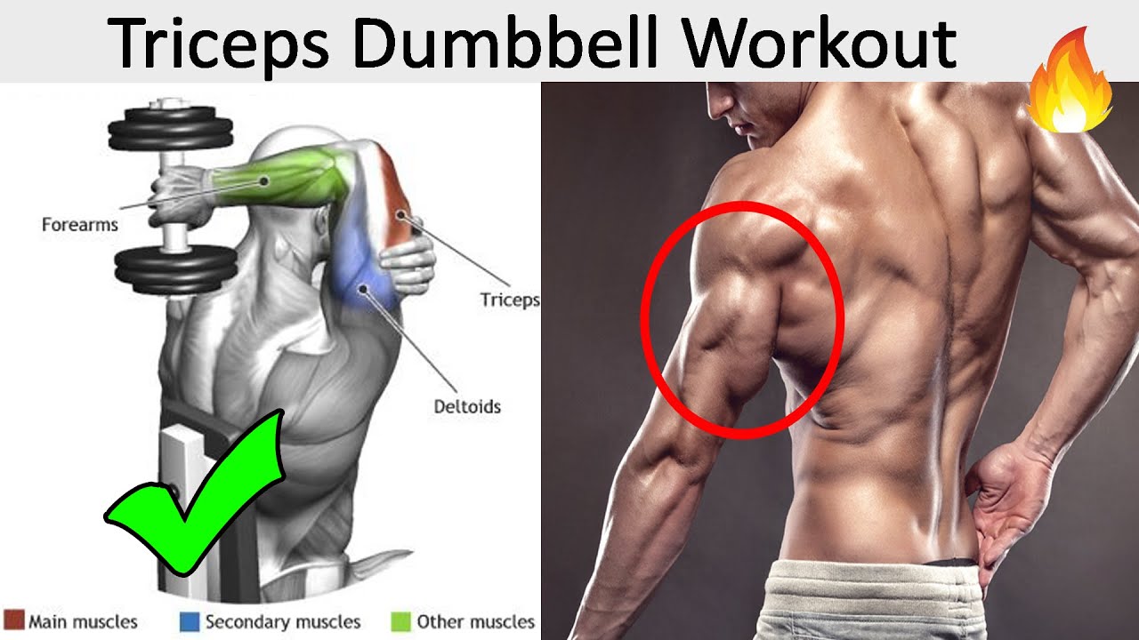 Full triceps home workout best intense 5 min workout with dumbbell