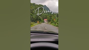 Wait for the last scene 😍 | Dooars in Monsoon #shorts #viral #nexon #monsoon