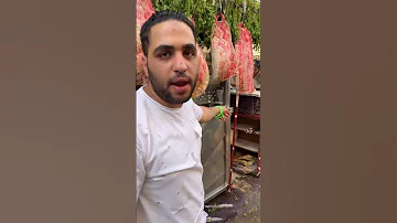 حفيد ابراهيم الطوخي كل حاجه شغاله 