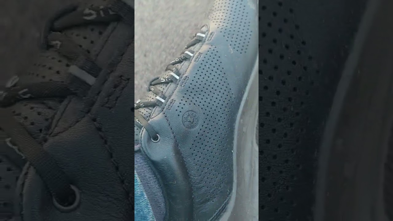 кроссовки  ecco год спустя