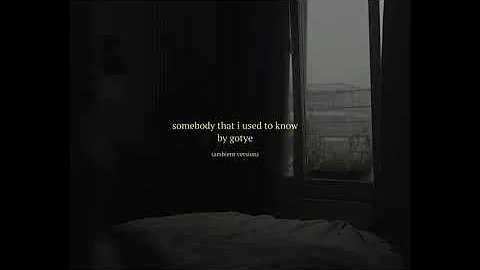 Somebody That I Used To Know (Ambient Version)