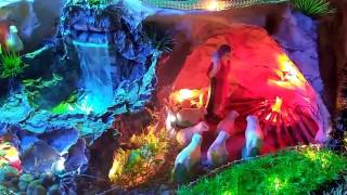 Christmas Crib 2016
