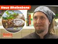 Angespannte Stimmung - wie wird das Testessen verlaufen? | 8/8 | Rosins Restaurant | Kabel Eins