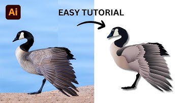 Adobe Illustrator Tutorial - How to Create a Bird Vector  in adobe illustrator