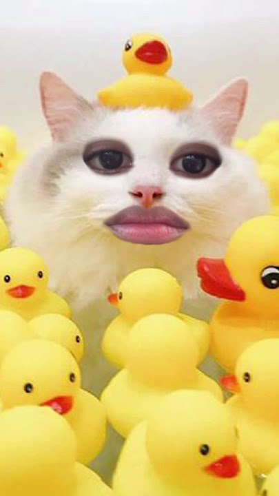 Kaaaaak pliiiiis apa yg kamu lakukan hahahahah ucul ih kamu sayanv