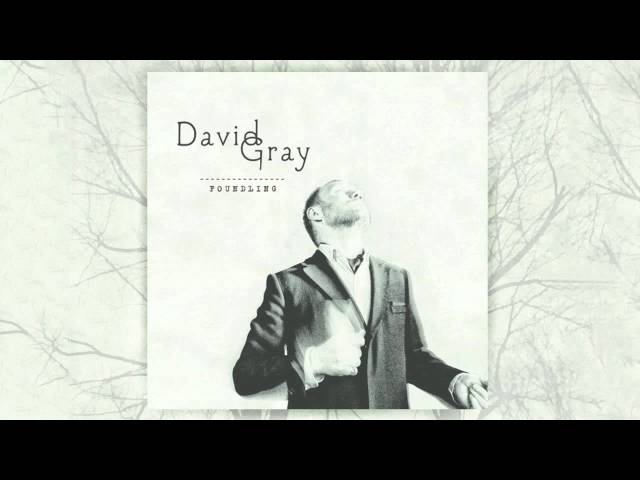 DAVID GRAY - We Could Fall In Love Tonight