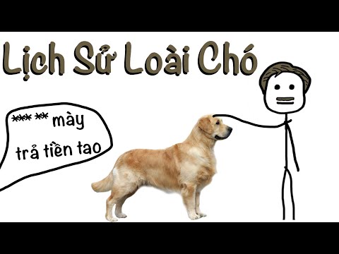 Video: Làm thế nào Long Do vẹt sống?