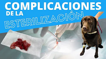 ¿Son frecuentes las infecciones tras la esterilización?