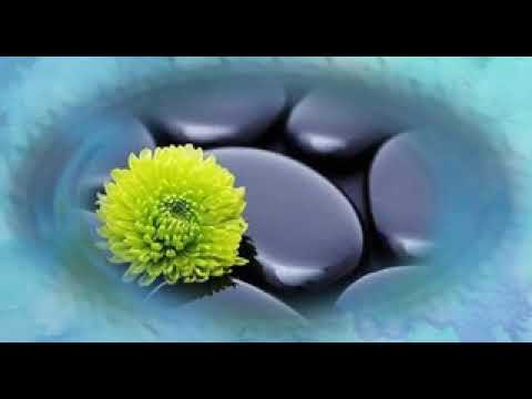 Knowing is all there is.......Rupert Spira