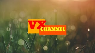 Download Lagu Station ID Elshinta TV (2019 - Sekarang) MP3