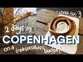 2 DAYS IN COPENHAGEN on a (reasonable) budget: Zoo, Glyptotek & Free Views!
