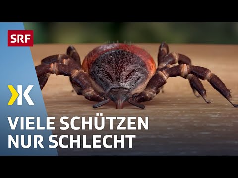 Video: Wie-Identifizieren-Schlangenfarbe