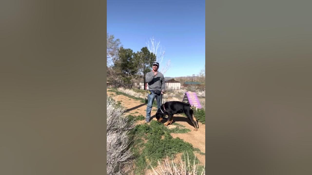 Cradle Technique Video 4 of 4 YouTube