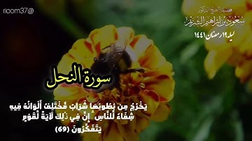 سعود الشريم#تلاوة #اكسبلور# ذكريات الشريم#مكة#سورة النحل