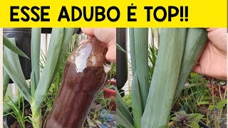 Adubo Para Nutri Cebolinhas – Elimina Pulgões