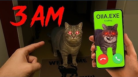 IF OIIA OIIA CAT IS CALLING YOU at 3 am - RUN !