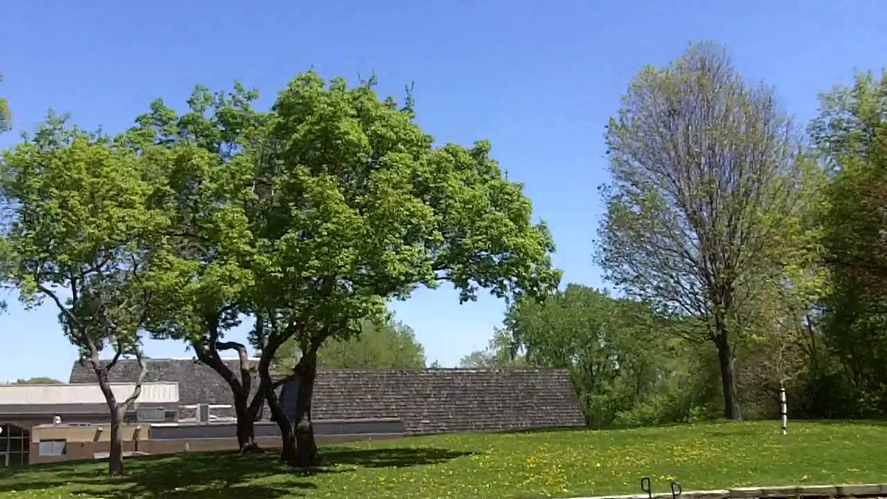 A Walk With Ninjalens: What A Beautiful Day