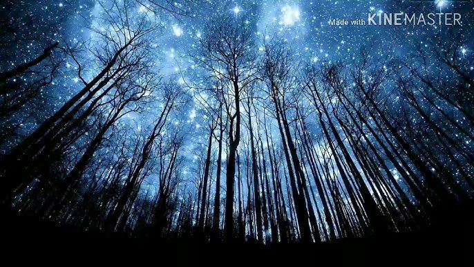 Porno noodle Trans qizlarning mushtlashi