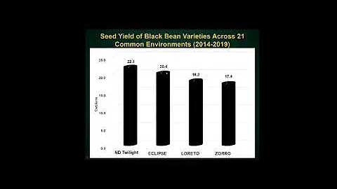CREC Row Crop Program: Juan Osorno - Dry Bean Breeding Program and Variety Review