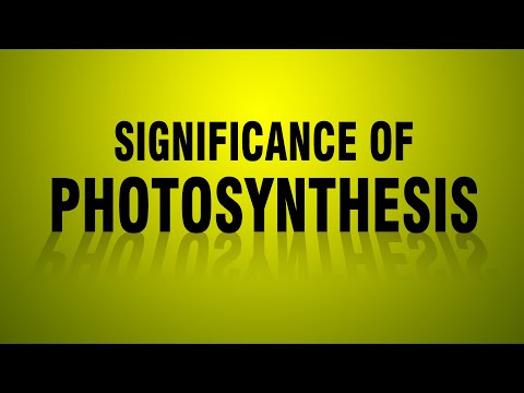 SIGNIFICANCE OF PHOTOSYNTHESIS